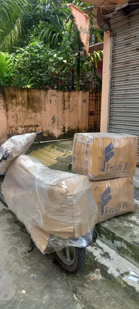 Professional movers